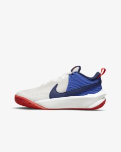 TENIS DE BAQUETBOL NIKE TEAM HUSTLE D10