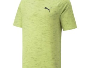 CAMISETA PUMA HOMBRE DAY IN MOTION TEE V