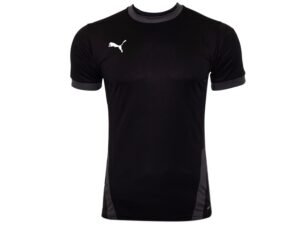 CAMISETA PUMA TEAM GOAL